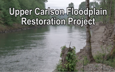 Watch: Upper Carlson Floodplain Restoration Project